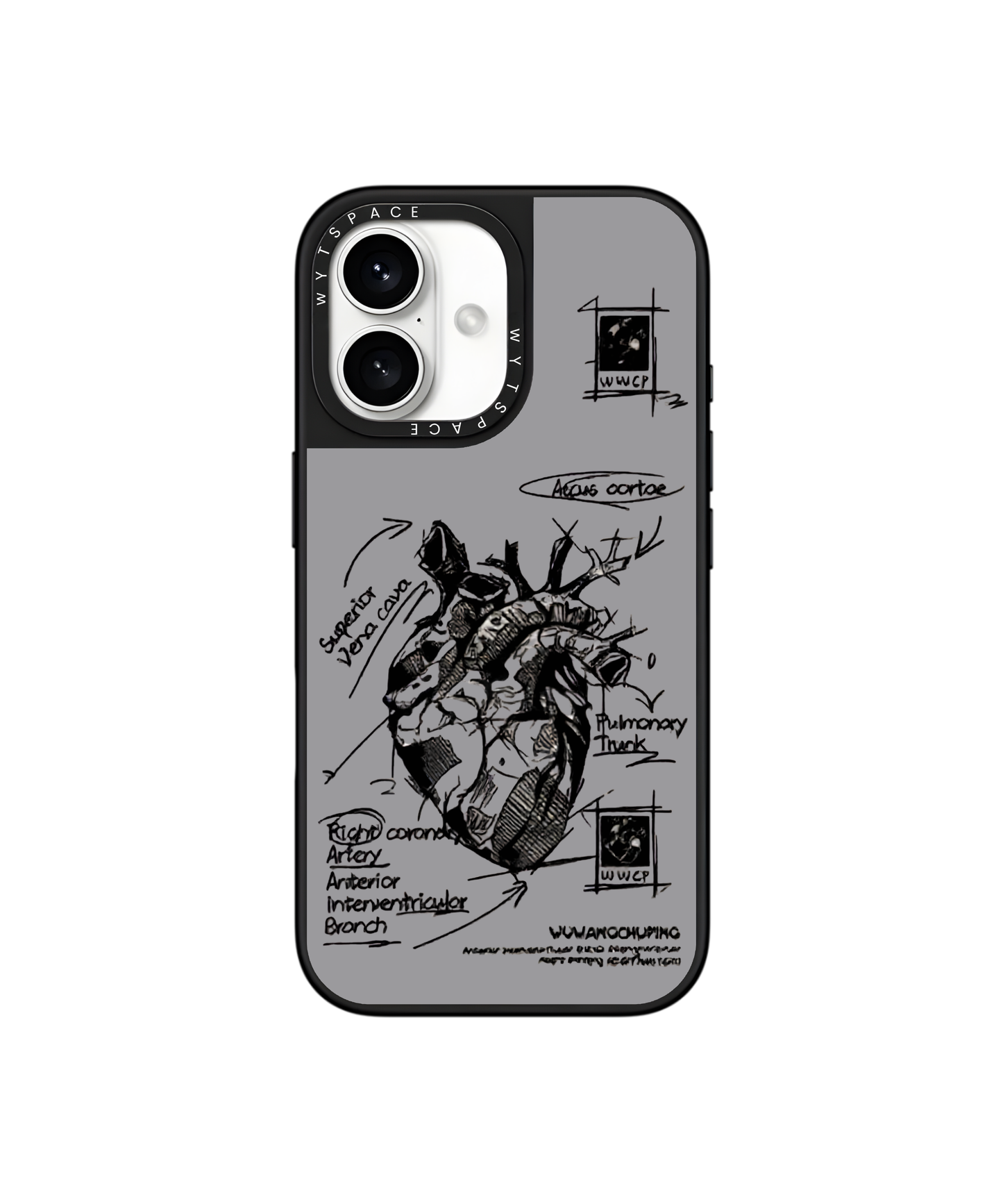 Anatomy | For Him - Elite iPhone Case Cover | Code: 571